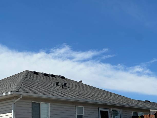 Best Roof Leak Repair  in Bethlehem Village, CT